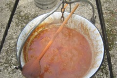 IMG_3603