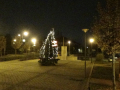 DSC01301