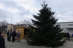 DSC01841