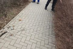 2022 Dózsa téri szemétszedés