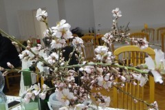 DSC01988