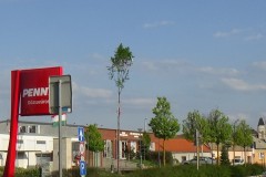 DSC02184