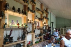 DSC02236