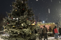 608209653_1393355728926094_6607497662314606222_n