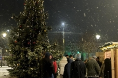 609156346_1158087486313457_5734164637780162648_n