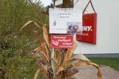 554053429_1860074998223536_1260852884012447543_n