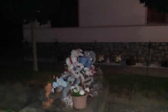 502608767_30839387718985613_8080274452275127377_n