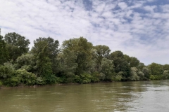 502798619_1757705764846109_8219932804924463900_n