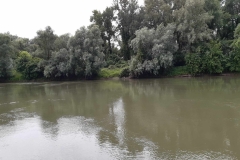 506356597_1823964204849578_3730424782948884343_n