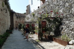 506605234_770640288649627_7714863519497474899_n